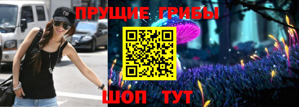 Котлас  Псилоцибиновые грибы GOLDEN TEACHER  Псилоцибиновые грибы ЛСД  Вход с VPN 